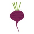 Purple beets in a simple hand drawn style isolated on a white background. Vector illustration.