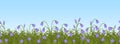 Purple bell flowers in green grass on a blue sky background. Seamless border