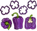 Purple Bell Peper Set. Half of Violet Sweet Paprika and Rings of Pepper Cuts. Fresh Ripe Raw Vegetables. Healthy Vegan