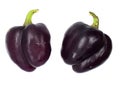 Purple bell pepper isolated on a white background. Side view Royalty Free Stock Photo