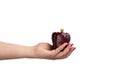 Purple bell peppers in hand on a white background Royalty Free Stock Photo