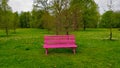 Purple bench in the fresh green park standing by tiny trees in beautiful big tree park Royalty Free Stock Photo