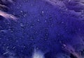 Purple big bang Crumpled Abstract ink background and Texture Royalty Free Stock Photo