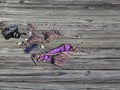 Purple Bikini Left on the Dock with Camera