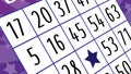 Purple bingo ticket with numbers