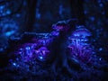 Purple bioluminescent fungus on tree in forest