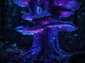 Purple bioluminescent fungus on tree in forest