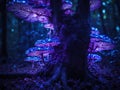 Purple bioluminescent fungus on tree in forest