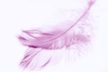 Purple bird feather on the mirror table. Art card Royalty Free Stock Photo