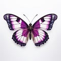 Purple Emperor Butterfly With Pale Pink And Black Wings