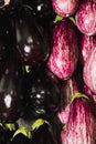 Purple and black squash, vertical and horizontal top view