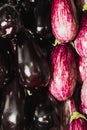 Purple and black squash, vertical and horizontal top view