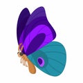 Purple-blue butterfly icon, cartoon style Royalty Free Stock Photo