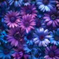 Purple and Blue Flowers in a Bouquet. Royalty Free Stock Photo