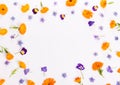 Purple, blue, orange edible flowers: viola, calendula and borage on white background. Royalty Free Stock Photo