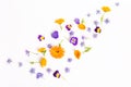 Purple, blue, orange edible flowers: viola, calendula and borage on white background. Royalty Free Stock Photo