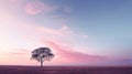 Purple, blue and pink sunset with silhouette of a tree, cold evening weather concept, copy space