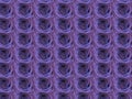 Purple blue rose flower floral background concept wallpaper with repeated figures. Seamless pattern on grey background.