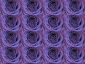 Purple blue rose flower floral background concept wallpaper with repeated figures. Seamless pattern on grey background.