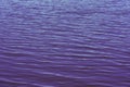 Purple blue smooth ripples of water show calm gentle waves. Royalty Free Stock Photo