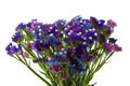 Purple Blue Violet Statice Bouquet