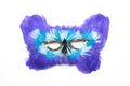 Purple blue white carnival mask Royalty Free Stock Photo