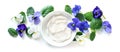 Purple blue and white violet flowers viola around a bowl of natural cosmetic ointment isolated on a white background, panoramic