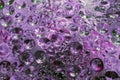 Purple blurred abstract background with drops on glass Royalty Free Stock Photo