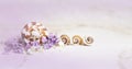 Seashells, lilac and white small flowers in a purple haze on travertine background. Royalty Free Stock Photo