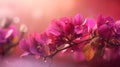 Purple Bougainvillea flowers with bokeh lights on soft pink background Royalty Free Stock Photo