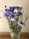 Purple bouquet wild flowers in a vase Royalty Free Stock Photo