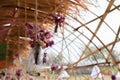 Purple bouquets flowers in a glass bottle hanging. Flower vase arrangements. Royalty Free Stock Photo