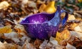 A purple bowl is sitting on top of some leaves Royalty Free Stock Photo