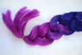 Purple braid with kanekalona Royalty Free Stock Photo