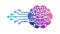 Purple Brain with Digital Network Connections, vector design Generative AI Royalty Free Stock Photo