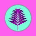 Purple branch of a palm tree on a turquoise background in a pink frame. Concept background, holiday, art