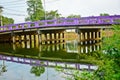Purple bridge for traveling Royalty Free Stock Photo