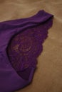 Purple brief panty