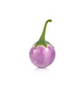 Purple Brinjal isolated on the white background.