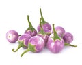 Purple Brinjal isolated on the white background