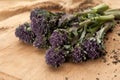 Purple Broccoli