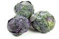 Purple Brussels sprout Royalty Free Stock Photo