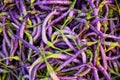 Purple buena mulata hot pepper Royalty Free Stock Photo