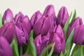 Purple Bunch of Purple flowers. Spring flower Background. selective focus. Greeting.