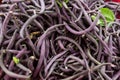 Purple bush beans at the farmers market.