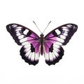 Purple Emperor Butterfly On White Background