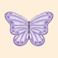 Purple butterfly drawing