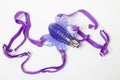 Purple butterfly - sex toy