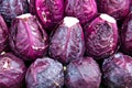 Purple cabbage