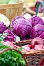 Purple Cabbage